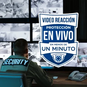 GolanProtege 3 Video Reaccion