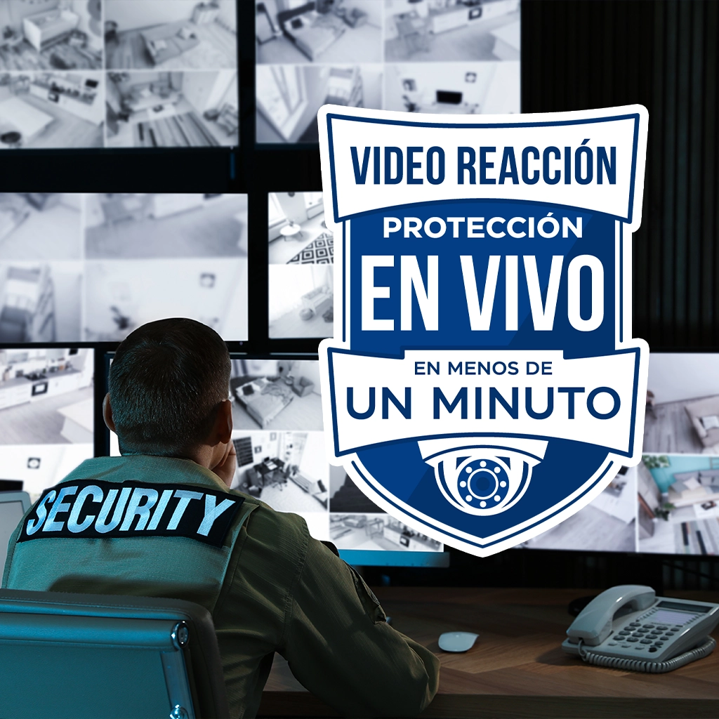 Alarmas para Negocio 5 Video Reaccion